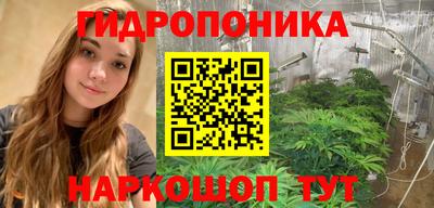 индика Аргун
